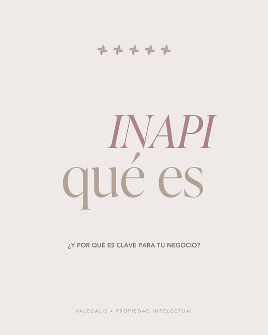INAPI - ¿Qué es?